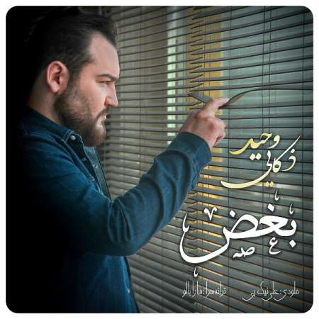 Vahid Zokaei – Boghz